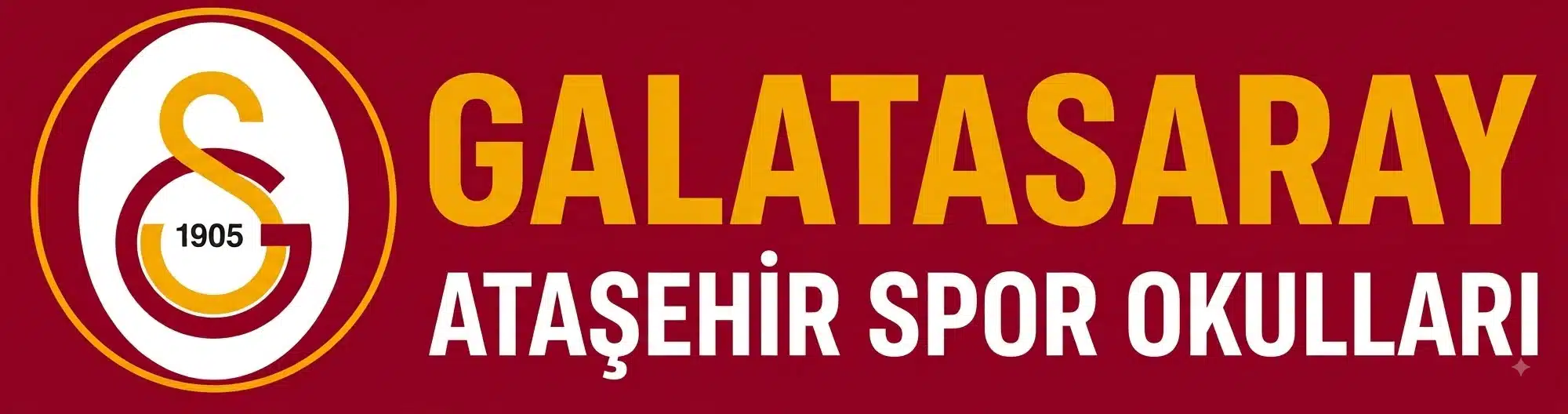 Galatasaray Spor Okulları - Ataşehir Aslanları
